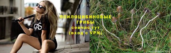 ешки Саяногорск