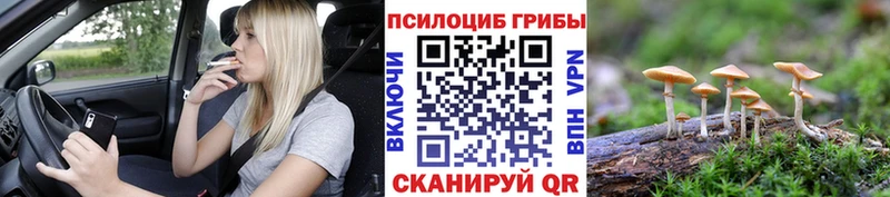 Галлюциногенные грибы MAGIC MUSHROOMS Кировград